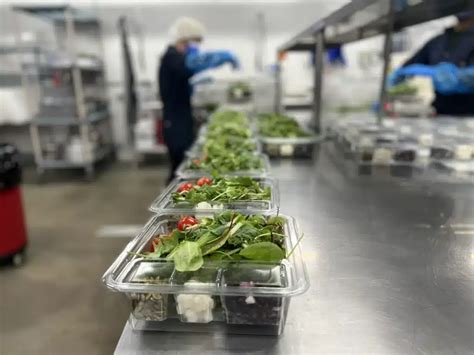 Islandview vertical farm back in business with new partners – Planet Detroit