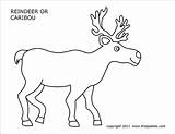 Caribou Coloring Page  Lake Boundary Waters sketch template