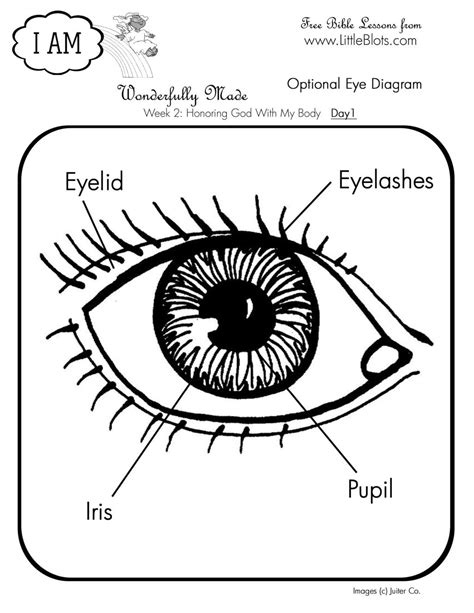 Pin on Pint-Sized Pupils-For Kids