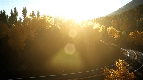 Aerial Drone View Flight over pine tree forest in Mountain at sunset ...