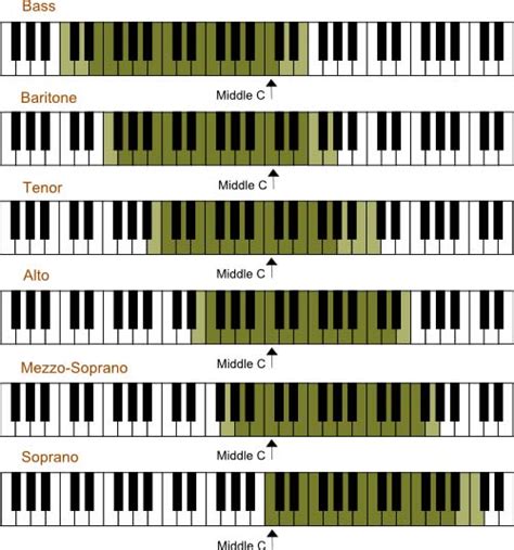 Tipos de voz: de bajo a soprano - Blog