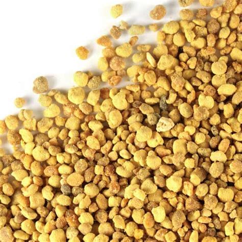 Buy Bulk Bee Pollen Granules | Monterey Bay Herb Co