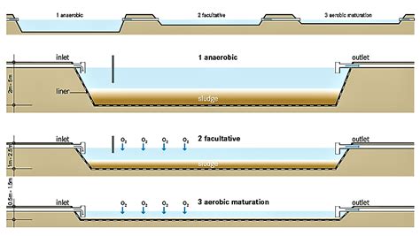 Waste Stabilization Ponds (WSP) | SSWM - Find tools for sustainable sanitation and water management!