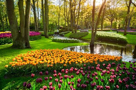 Keukenhof Tulip Park 2021 - Enjoy the Dutch Countryside