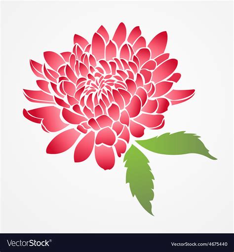 Isolated red chinese flower Royalty Free Vector Image