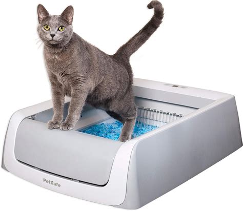 Top 10 Best Self Cleaning Litter Box For Large Cats- Top Picks For You!