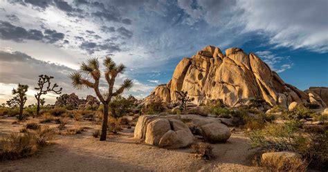 10 Best Hikes in Joshua Tree National Park, California