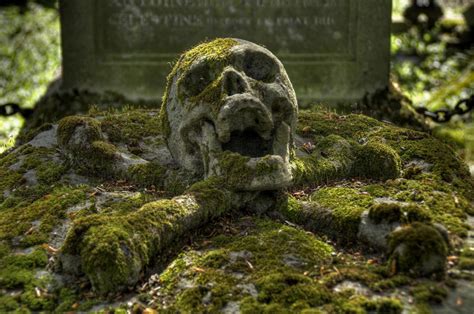 Human skull, graveyards, skull, skull and bones HD wallpaper ...