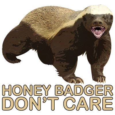 Honey Badger Don't Care | Honey Badger | Know Your Meme