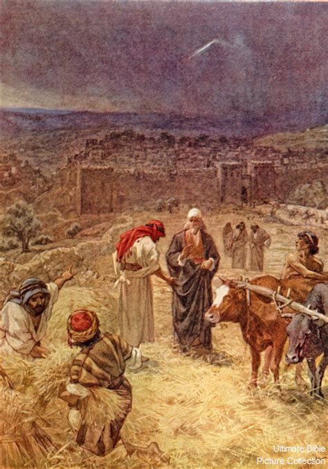 1 Chronicles 21 Bible Pictures: David buys threshing floor