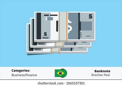 Bundle 5 Brazilian Real Banknotes Money Stock Vector (Royalty Free ...