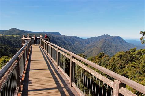 Dorrigo National Park, NSW