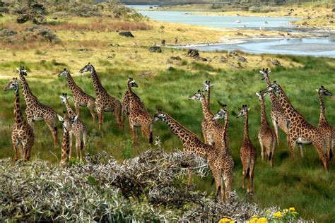 Arusha National Park | Tanzania Safari Destinations