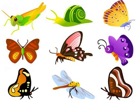 hexapod insects with butterfly dragonfly snail | download Free Animal Vectors