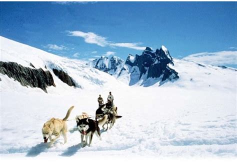 Skagway Dog Sledding & Glacier Flightseeing Helicopter Tour | Alaska ...