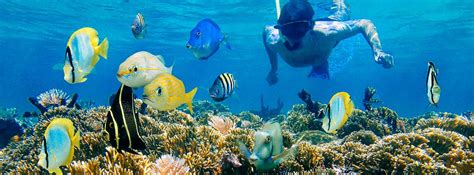 Snorkeling The Belize Barrier Reef - Our Belize Vacation