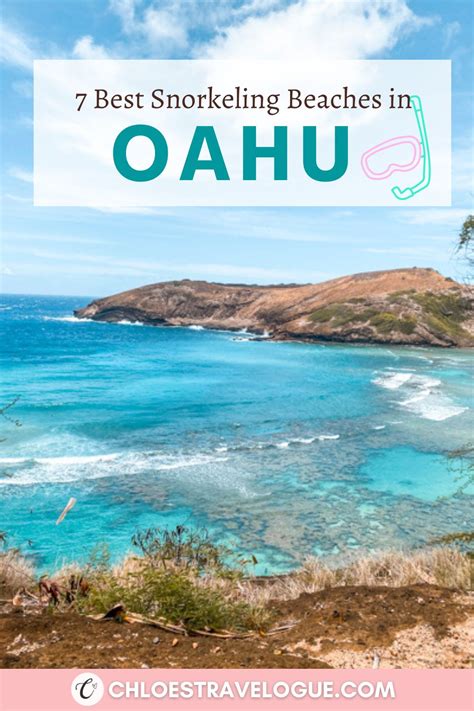 7 Best Beaches in Oahu for Snorkeling (popular & secluded)