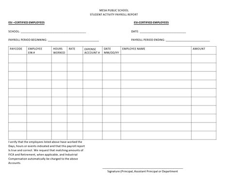 40 Free Payroll Report Templates (Excel / Word) ᐅ TemplateLab