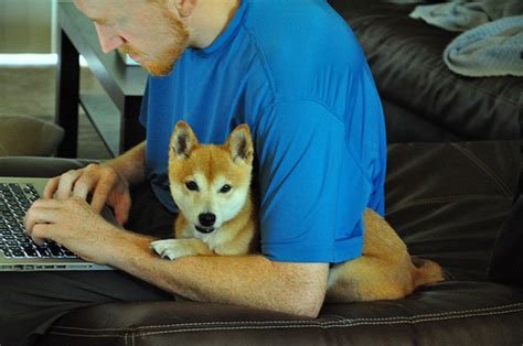 13 pictures of humans hugging animals that will make you feel better