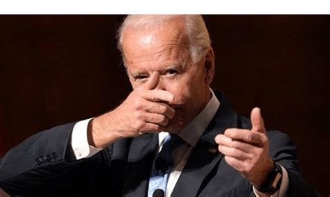 Florida legislature to Biden: Hands off our guns