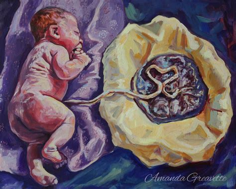 Birth Art Print - Lotus - placenta and baby – Amanda Greavette Shop