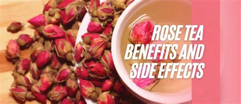 Rose Tea Benefits And Side Effects | Stethostalk