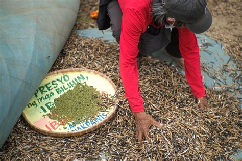 Urban and Rural Women at the Forefront of Reclaiming Their Land – Social Text