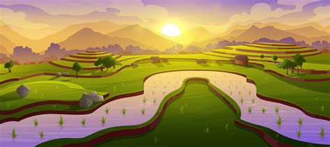 Asian rice field terraces at morning landscape 13834707 Vector Art at ...