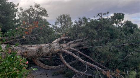 PHOTOS: Storm causes heavy wind damage in Utah