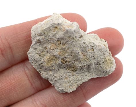 Raw Volcanic Tuff, Igneous Rock Specimen - Approx. 1" - Geologist Sele ...