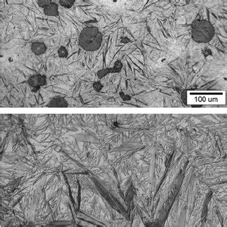 illustrate an example of typical microstructure of as cast ductile iron. a. | Download ...