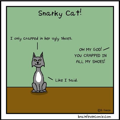 Snarky cat