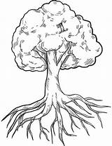 Tree with Roots coloring Page  ColouringPages sketch template