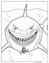 Finding Nemo Coloring Pages28  Free Printable coloring Pages Cute sketch template