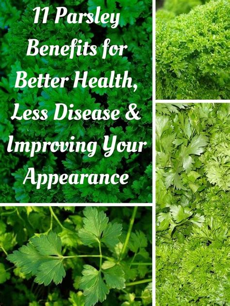 7 Parsley Benefits For Hair, Skin, Eyes And Digestion