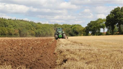 Difference Between Primitive Subsistence Farming And Intensive ...