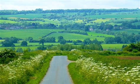 The English Countryside in summer - Shutters & Sunflowers