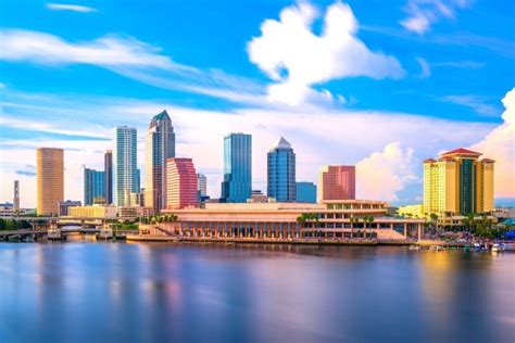 Top 7 fun things to do in tampa 2022