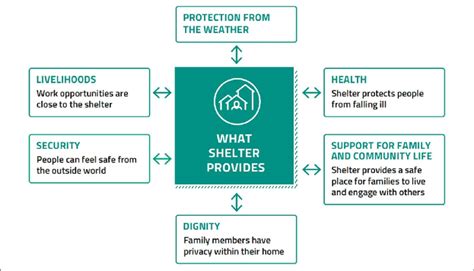 What does a shelter provide? | Download Scientific Diagram