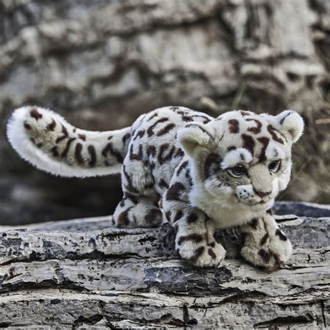 Realistic Snow Leopard Stuffed Plush Toy – KEAIART