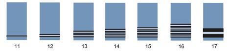 Ranks of the british Air Force (Royal Air Force) - Militär Wissen