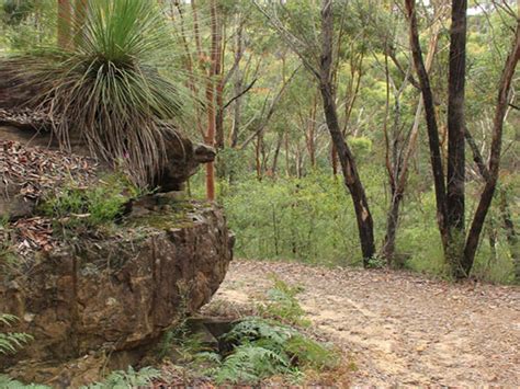 Dharawal National Park | Destination Wollongong