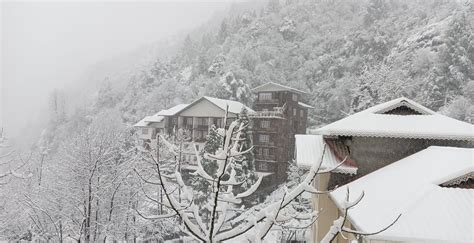 Heavy snowfall turns Sikkim milky white