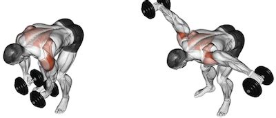 The Dumbbell Rear Delt Fly 101 | How to Train Your Rear Deltoids!