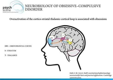 Obsessive Compulsive Disorder - Neurobiology, Diagnosis and Treatment