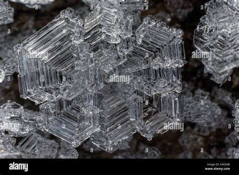 Ice crystal, structure, black and white image Stock Photo - Alamy