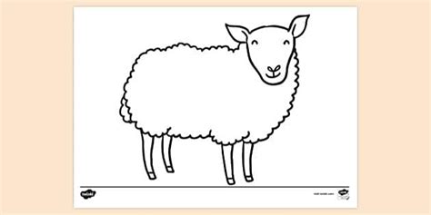 FREE! - Sheep Colouring Sheet | Colouring Pages - Twinkl