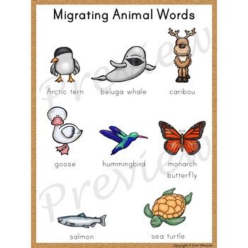 Writing Center Word List ~ Migrating Animal Words | TpT