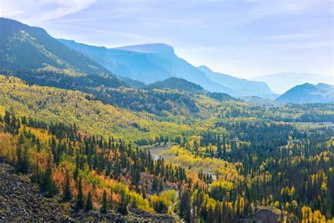 Fall Leaves in the Upper Rio Grande Valley (2)