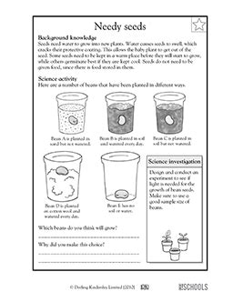 3rd grade, 4th grade Science Worksheets: Needy seeds | GreatSchools